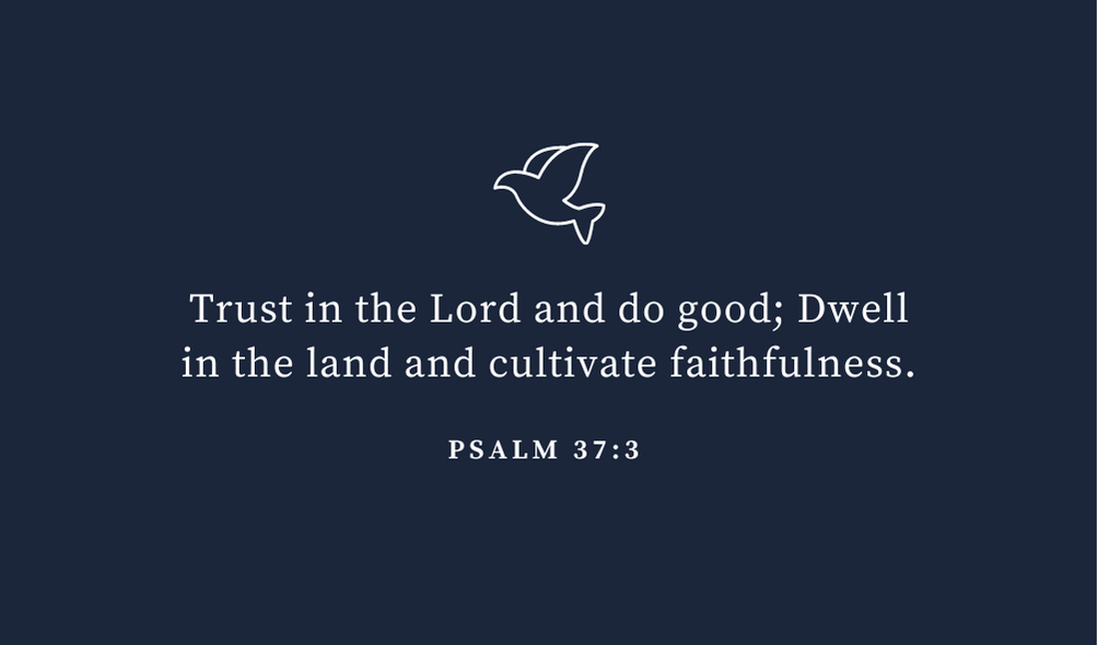 trusting god bible verse psalm 37 vs 3