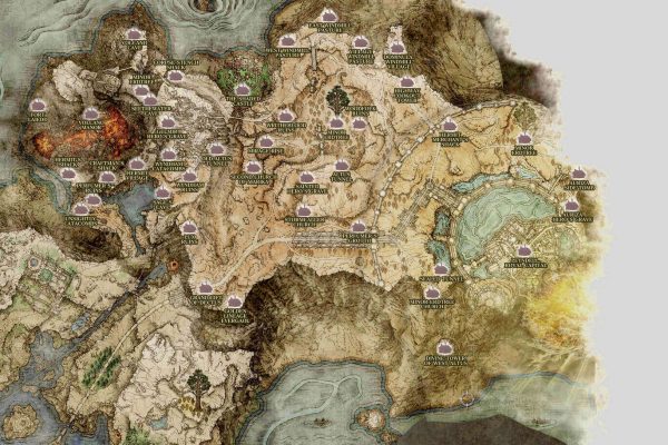 Unlocking the Potential of Altus: A Complete Guide for Beginners.